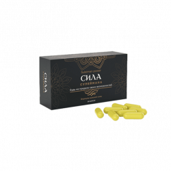 The Power of Suleiman