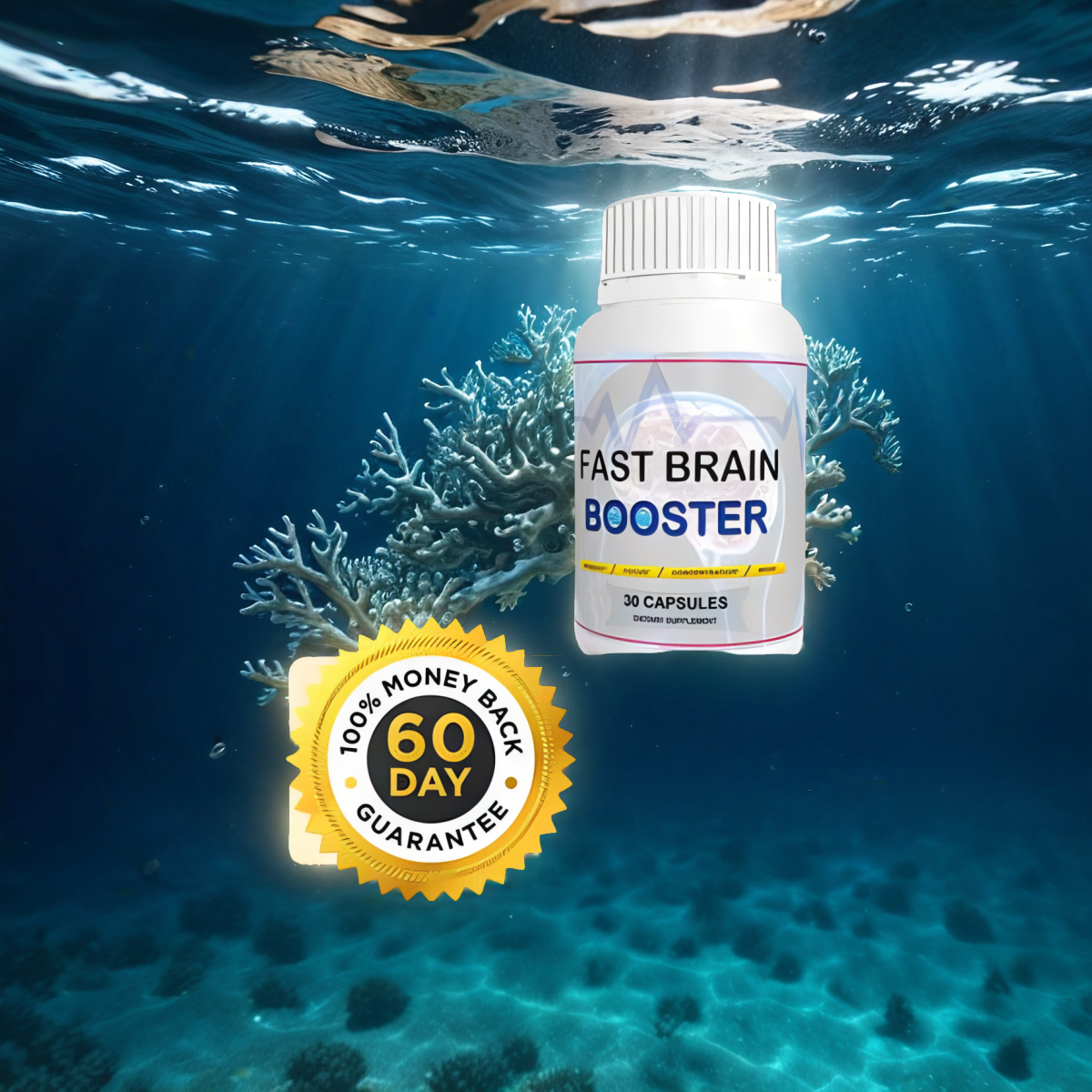 Fast Brain Booster (1 Bottle)
