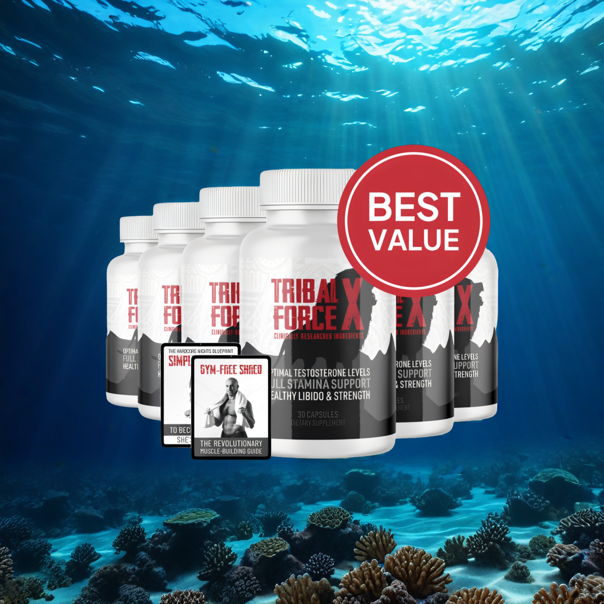 TribalForce X - 6 Bottles